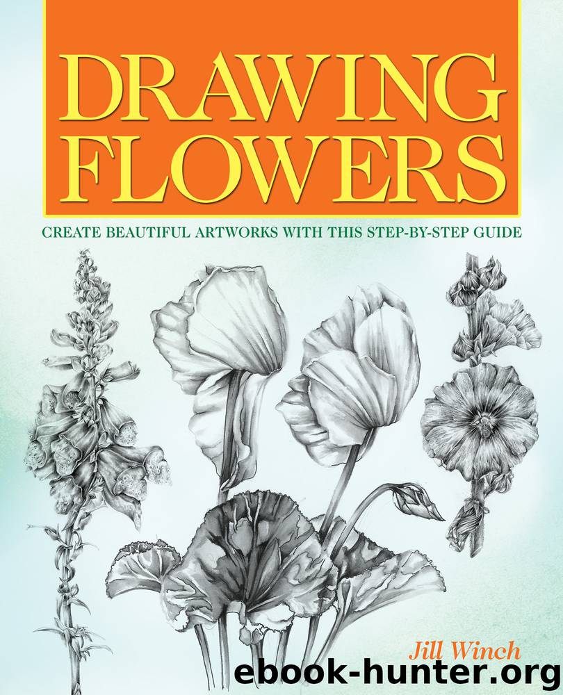 Drawing Flowers by Jill Winch free ebooks download